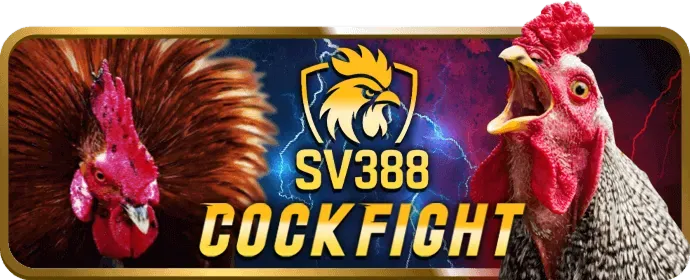 Cá cược có trách nhiệm e28vn
